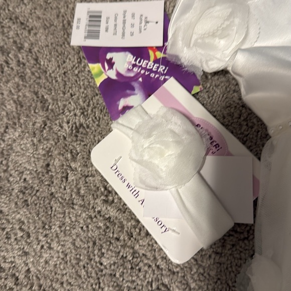 NWT Blueberi Boulevard 2-pc. Floral Applique Fit and Flare Dress & Headband Set - Picture 4 of 11